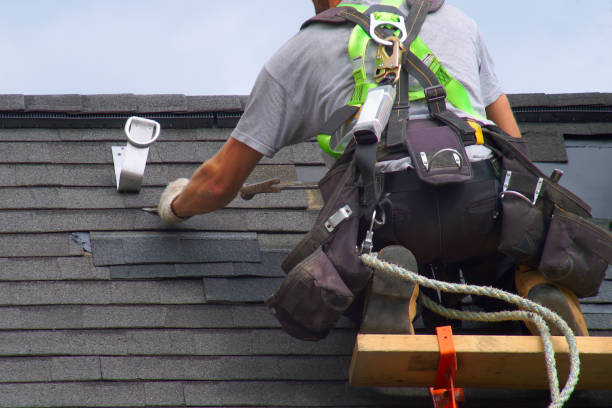 Best Roof Gutter Cleaning  in The Dalles, OR